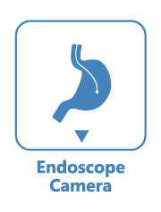 Endoscope Module